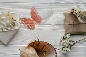 Summer sea set. Shells, butterflies and flowers on white background