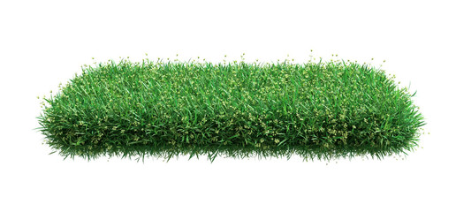 Obraz na płótnie Canvas Square of green grass field over white background