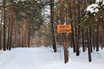 Ski track of health - sign in the winter pine forest