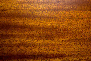 Texture of mahogany wood - obrazy, fototapety, plakaty