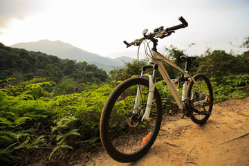 riding mountain bike on mountain forest trail