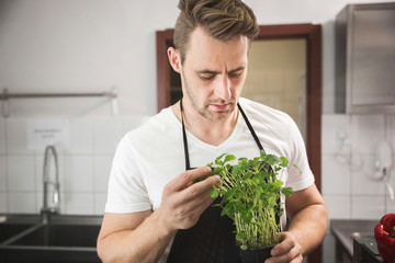 Chef holding pot with lemon balm