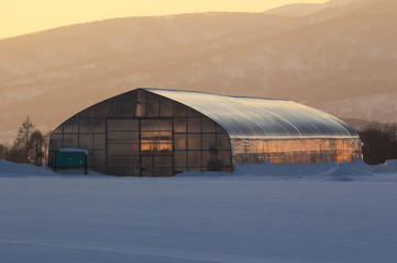 北海道冬景色　雪原の中のビニールハウス