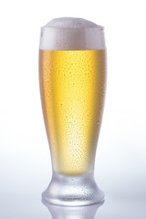 tulipa de chopp em fundo branco espelhado