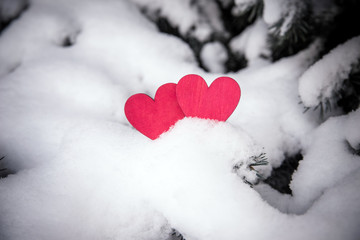 Fototapeta premium Two red hearts lie on the snow-covered fir branches 