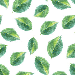 Green leafs seamless pattern. Colored pencils hand drawn sketch