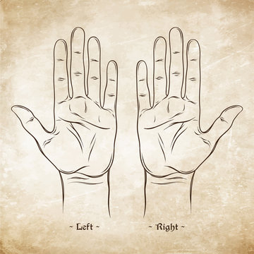 Palmistry or Chiromancy Chart Blank Template. Vector illustration