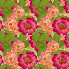 Fotobehang Briar, wild rose,. Seamless pattern texture of pressed dry flowe © svrid79