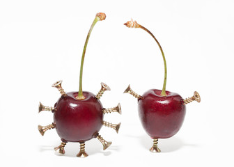 Genetically modified food