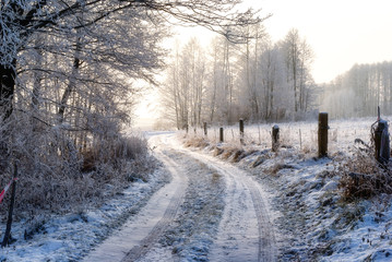 Droga w Dolinie Biebrzy © podlaski49