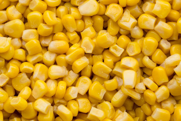 Bulk of yellow corn grains texture.