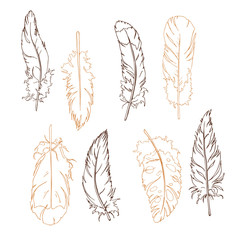 Graphic beige and brown feather set. Hand drawn vector illustration.
