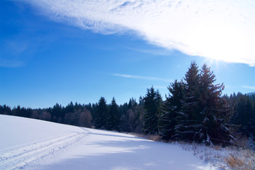 Cross country ski track in Nature ski
