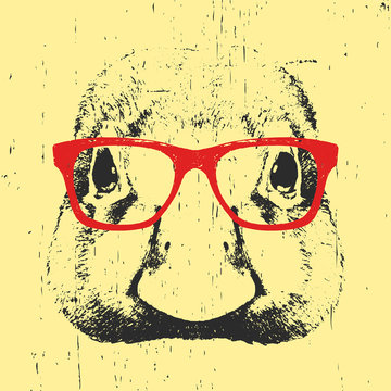 Portrait of Duck with glasses. Hand drawn illustration. Vector