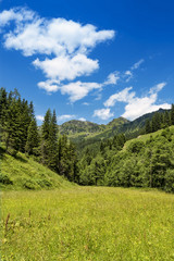 Fototapeta na wymiar Landscape with forest mountains, Zillertal, Austria