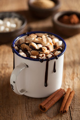 s'mores hot chocolate mini marshmallows cinnamon winter drink