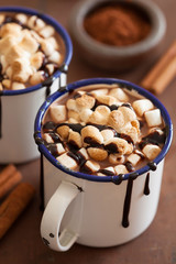 s'mores hot chocolate mini marshmallows cinnamon winter drink