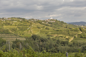 Fototapeta na wymiar Rural mediterranean landscape with vineyards and Smartno village, Slovenia