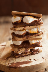 homemade marshmallow s'mores with chocolate on crackers