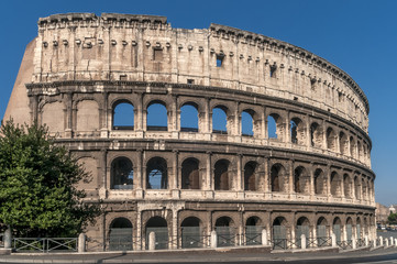 Fototapeta na wymiar Beautiful view of the Colosseum on a sunny day, Rome, Italy