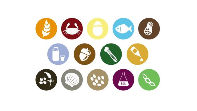 Food allergerns icon set motion graphics animation
