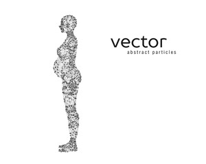 Fototapeta na wymiar Abstract vector illustration of pregnant woman.