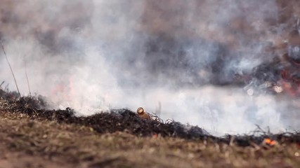 Close-up video of fire in a field view