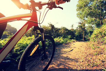 Fototapeta na wymiar riding mountain bike on forest trial