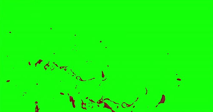 4k Blood Burst Slow Motion (Green Screen) 176