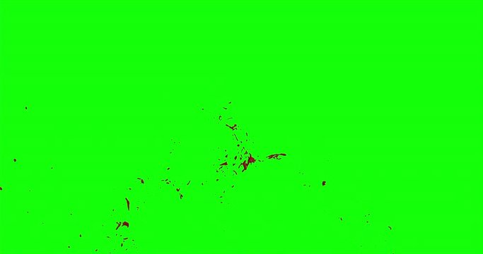 4k Blood Burst Slow Motion (Green Screen) 193
