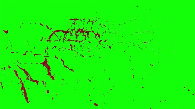 Hd Blood Burst Slow Motion (Green Screen) 49