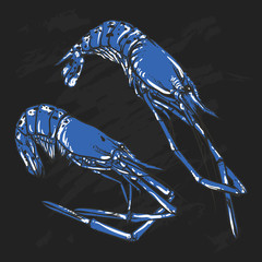 Vector illustration of a Shrimp set drawing on a black backgroun