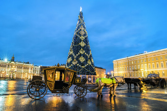 Christmas tree and carriage on Palace square, St Petersburg, Russia