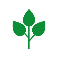 leaves icon on white background