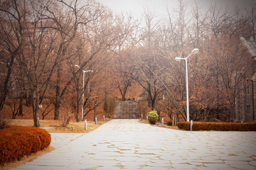 Walkways at Ewha Womans University in Seoul, South Korea