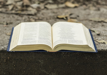 Obraz premium The holy Bible