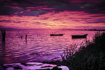 DELTA DEL EBRO