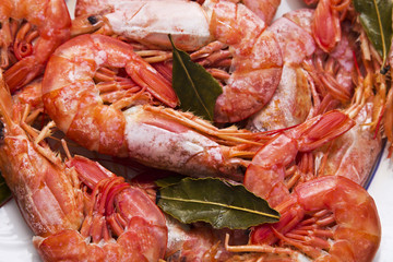 dish of prawns at the table