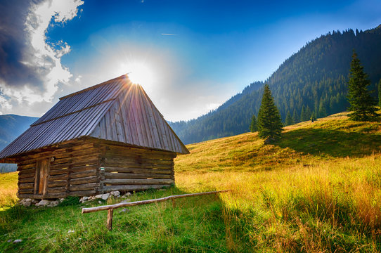 Valley - Tatra Mountains, Dolina Chochołowska