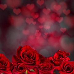 Valentine red rose abstract background.