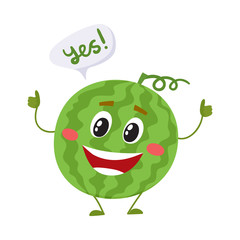 Cute and funny comic style watermelon character giving thumbs up, cartoon vector illustration isolated on white background. Whole watermelon character, mascot smiling happily and giving thumbs up