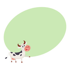 Funny black and white spotted cow character pointing to something and talking, cartoon vector illustration on background with place for text. Funny cow character drawing attention to something