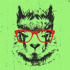 Portrait of Lama with glasses. Hand drawn illustration. Vector. © Victoria Novak