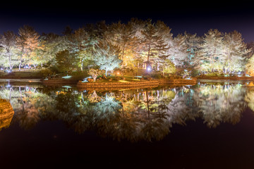 Der Wolji Pond im Donggung Palast in Gyeongju, Korea