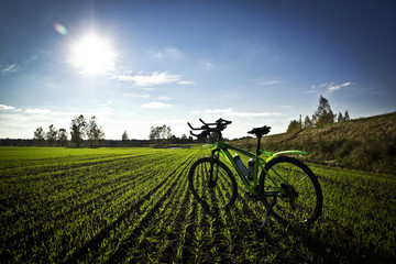 Fototapeta na wymiar bicycle on the field on sunny day, beautiful lines on the field