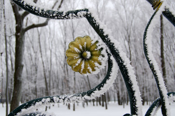 snow-covered grille, fragment
