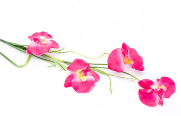 Artificial flowers on white background