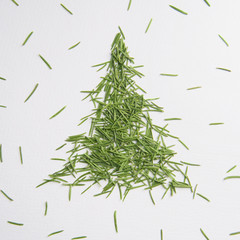 Green tree of the needles