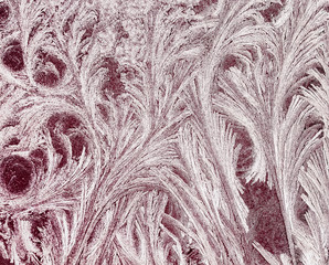 background from frosty pattern on glass in the form of furry twigs and feathers