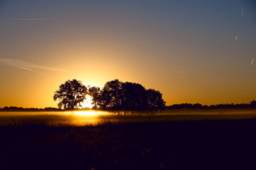 herbstbäume im Sonnenaufgang